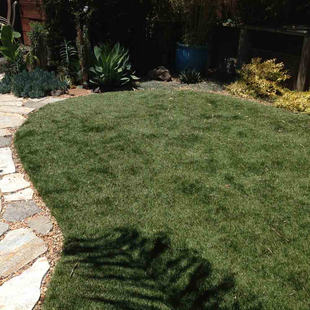 Natural Sod 1 Natural sod-central home supply, santa cruz ca