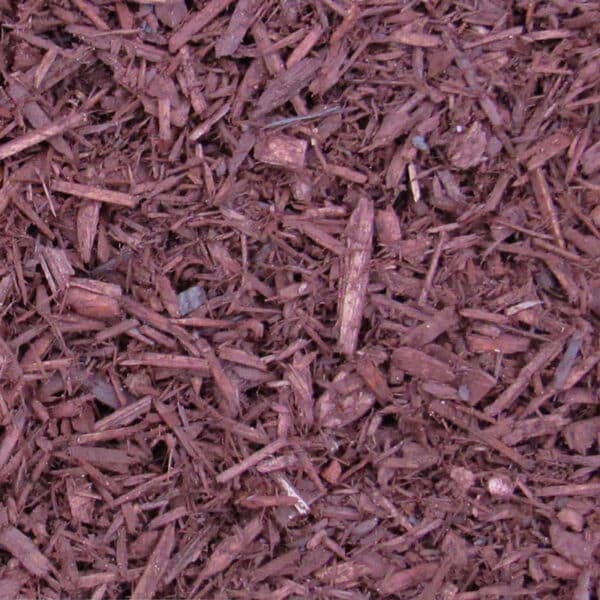 Mahogany mini mulch
