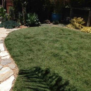 Natural Sod-Central Home Supply, Santa Cruz CA