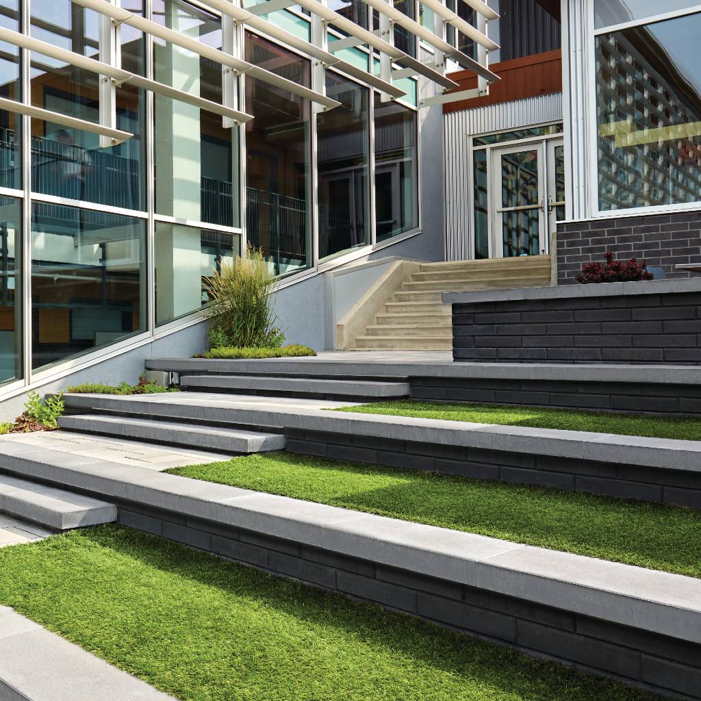 Plants grass stones steps