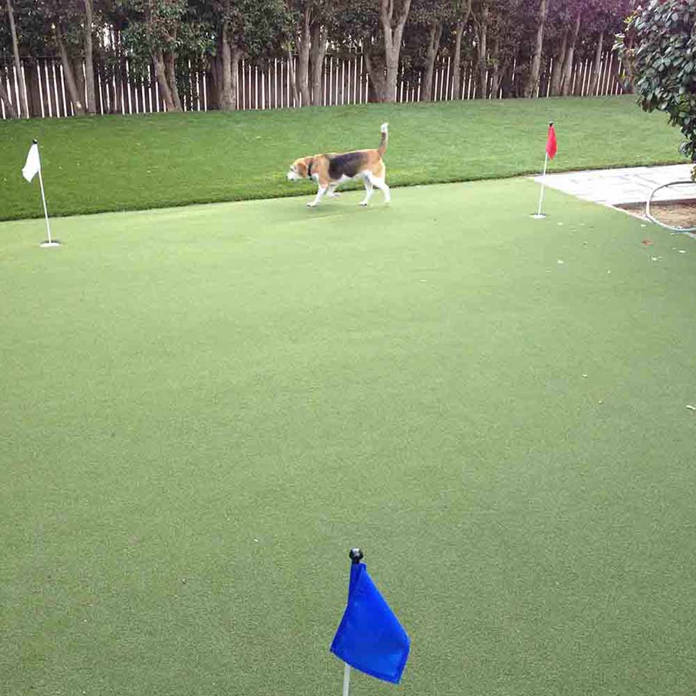 Synthetic turf central home supply, santa cruz ca