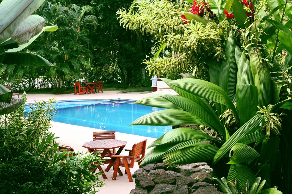 Use tropical plants to create a resort-like feel